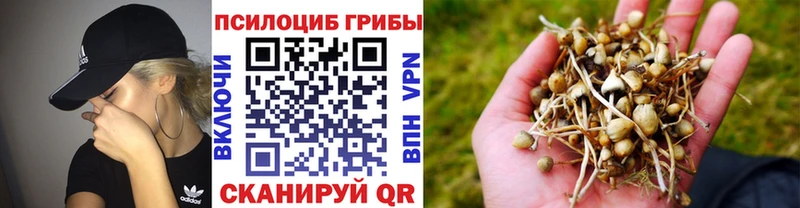даркнет сайт  Алупка  Псилоцибиновые грибы Magic Shrooms 
